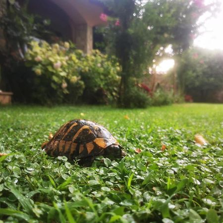 Villa Melograno Mostar Dış mekan fotoğraf