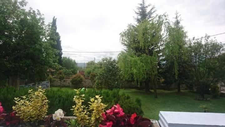 Villa Melograno Mostar Dış mekan fotoğraf